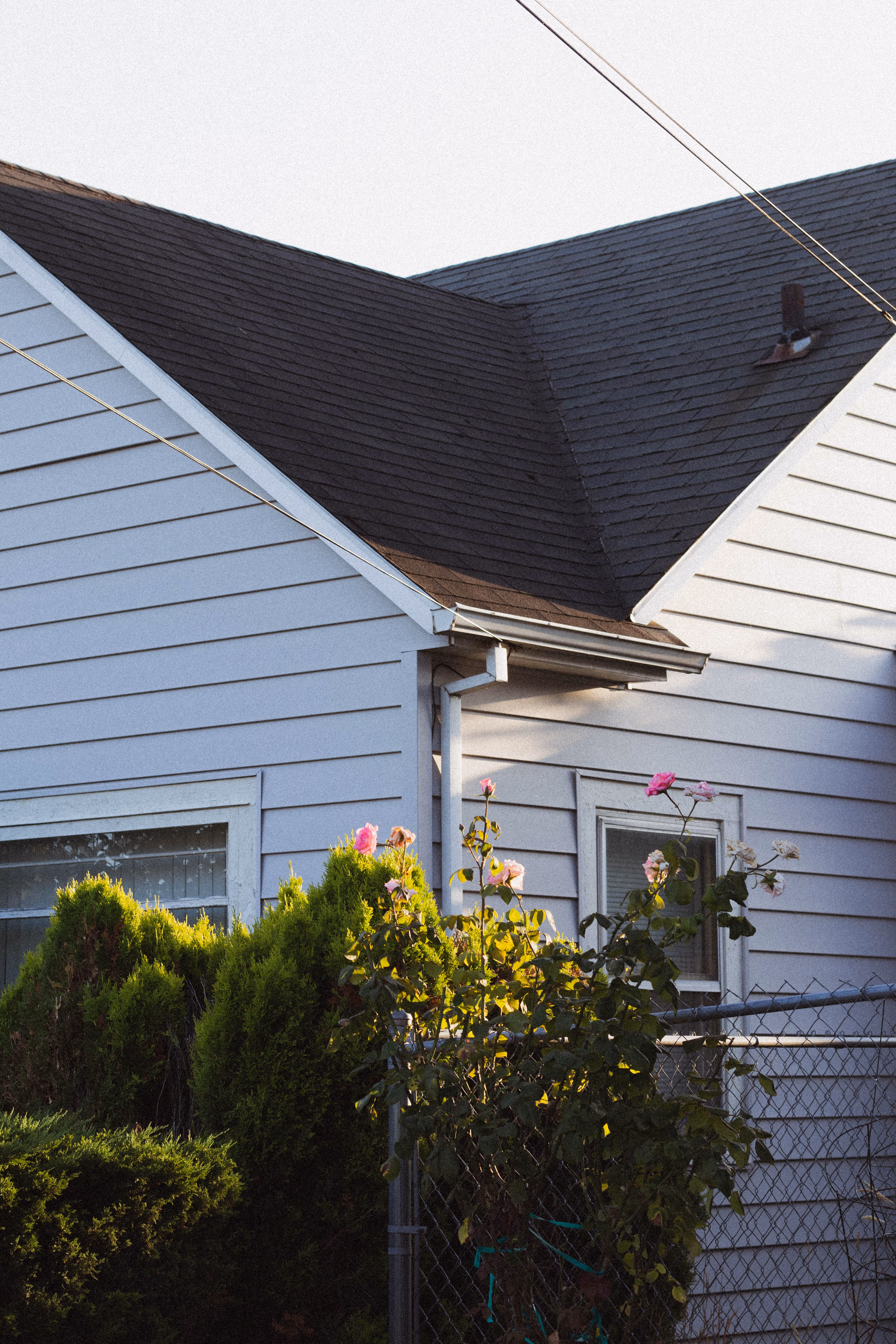 Newly shingled roof close-up, showcasing quality craftsmanship.